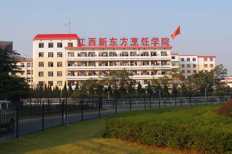 其他案例